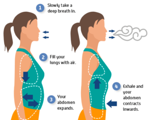 Somatic Yoga for Beginners