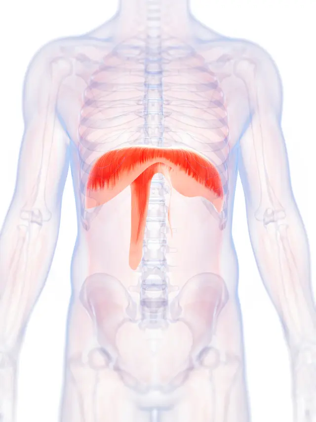 You’ve Been Breathing Wrong Your Entire Life. Here’s How to Fix It.