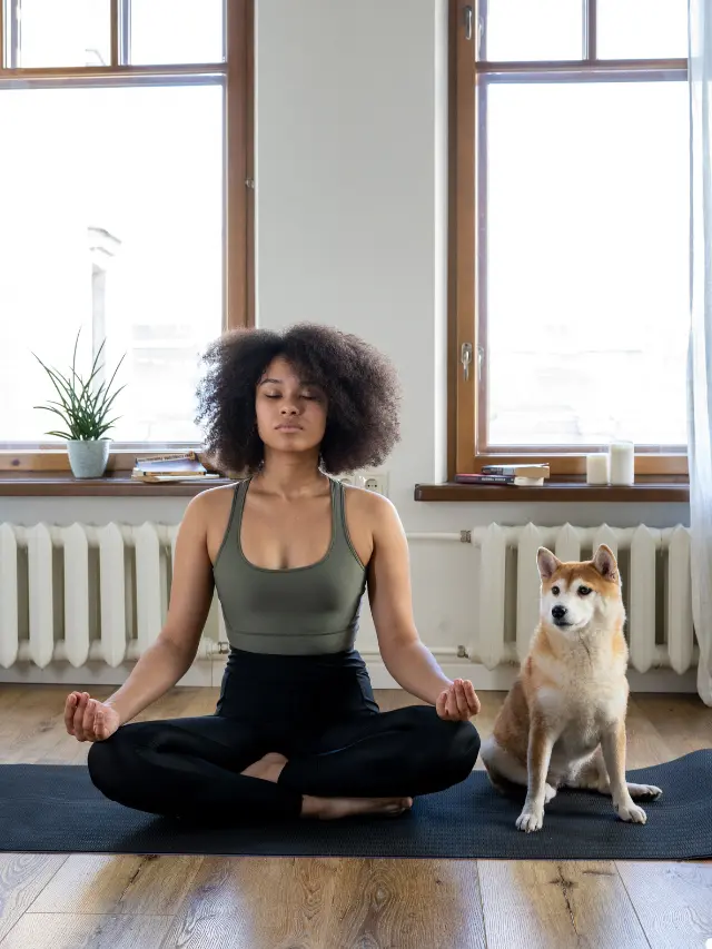 5 Cozy Fall Yoga Flows
