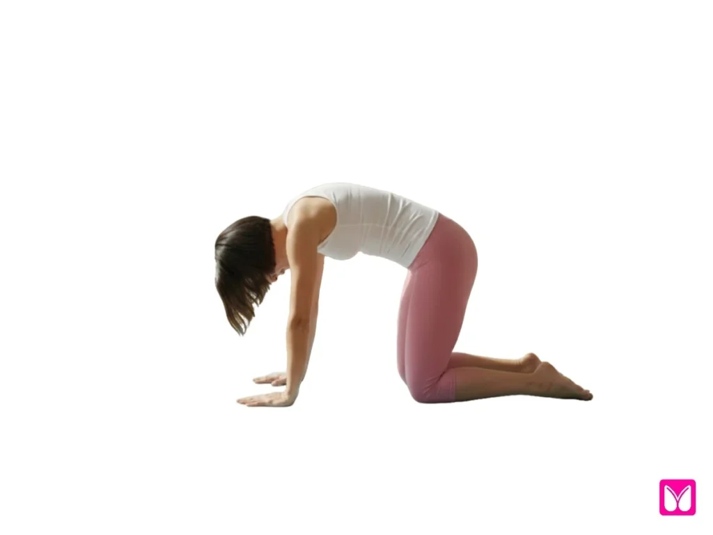 A beginner-friendly demonstration of the Cat-Cow stretch, a dynamic movement among simple yoga poses designed to improve spinal mobility.